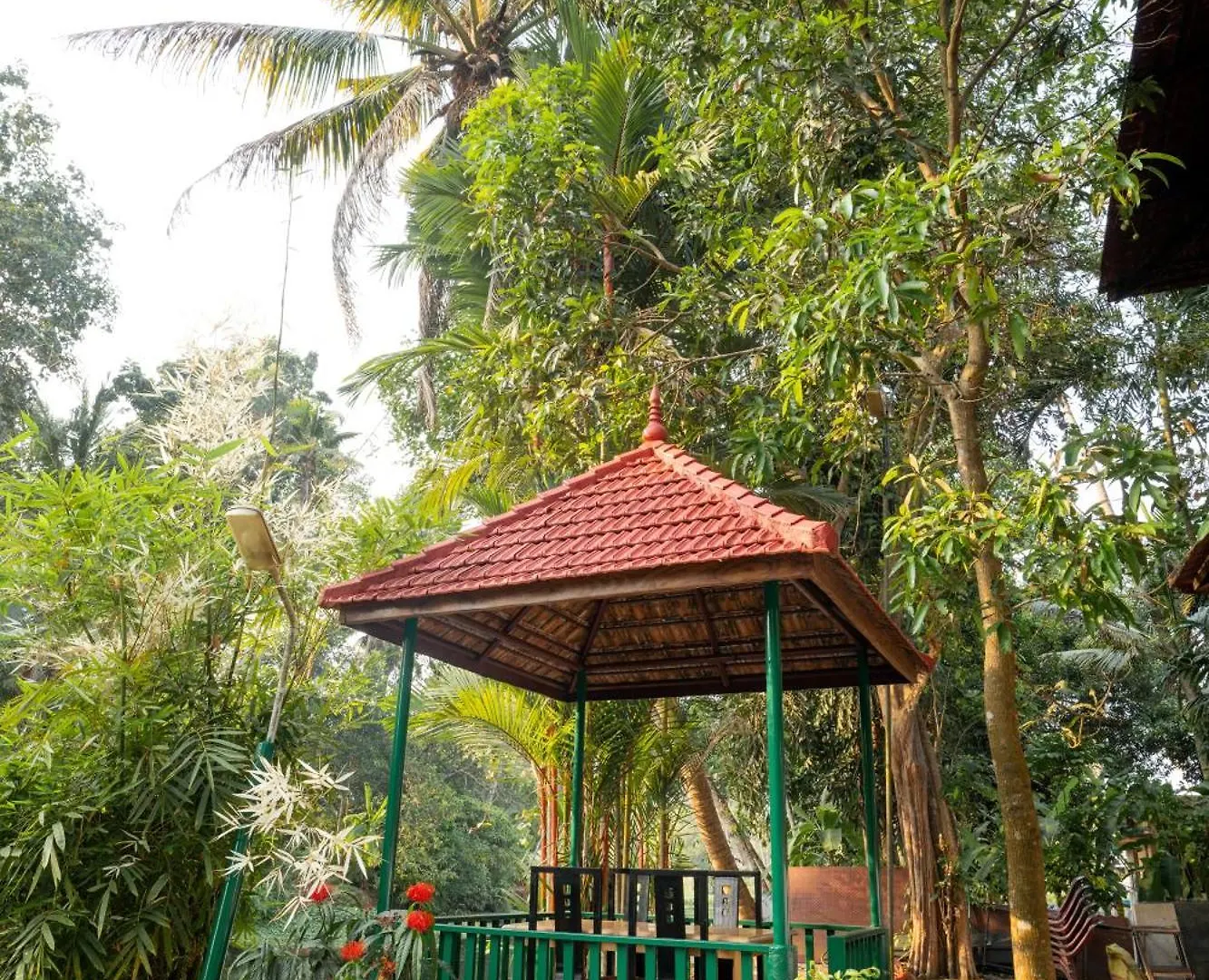Affittacamere Hotel Garggi Backwater Retreat Kottayam India